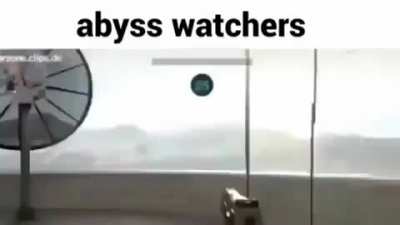 The Apiss Watchers