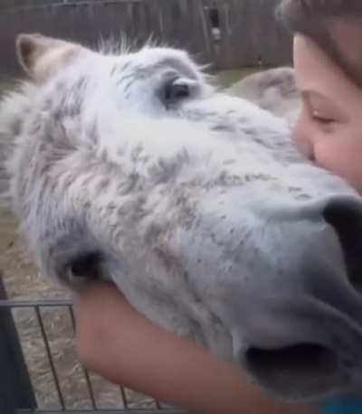 This donkey is reunited with the girl who raised it