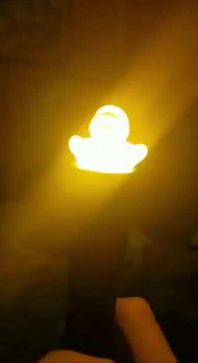 Saw a cool glowing duck video on discord and got this idea