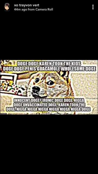 Karen🙅🏽‍♂️💁🏼‍♀️took🥶🥱the🤪doeg🐕