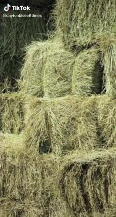 Hay