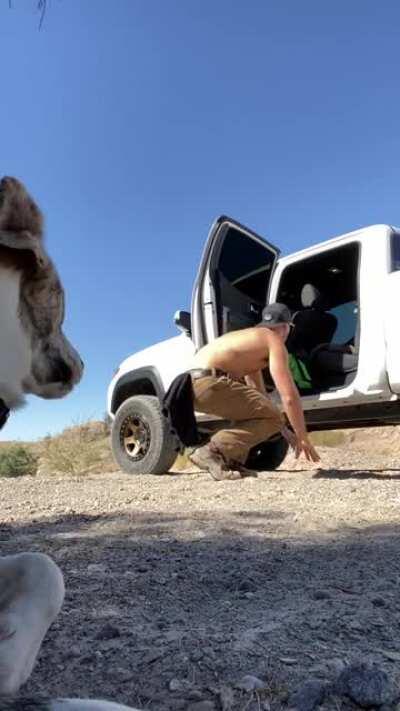 I recently rescued Dudeson, he hated getting into my truck. figured out he’s a visual learner