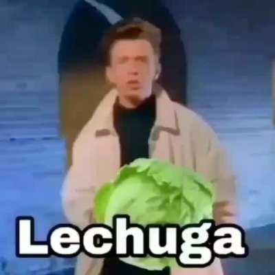 Lechuga