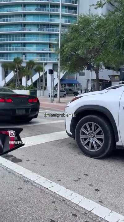 Road rage karate chop. Miami style.