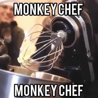 chef