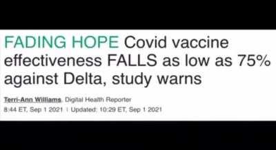 The Decay of COVID Vaccine Efficacy