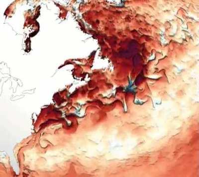 Last 30 days of sea surface temperature anomalies in the western North Atlantic.