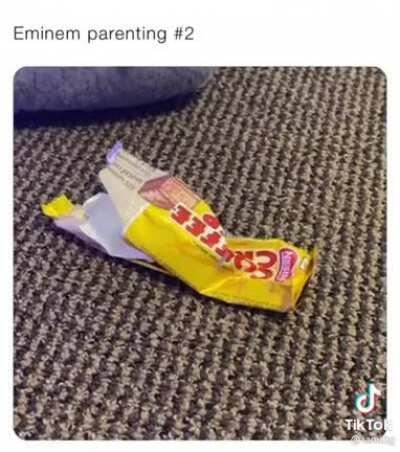 Eminem Parenting