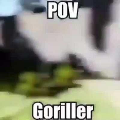 Goriller