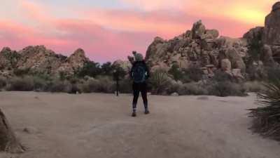 Sunrise Hike, Joshua Tree