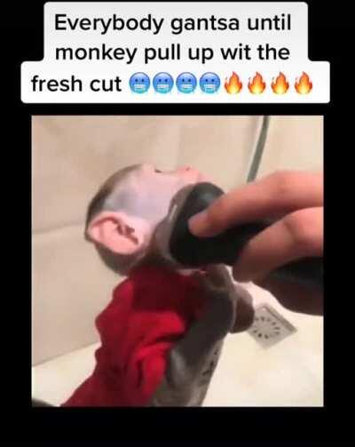 monky got dat fresh cut doe 🥶🥶🥶