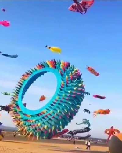 Amazing kites