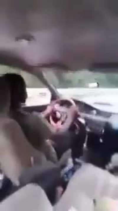 Idiot drives car at full speed, gets instant karma instead.