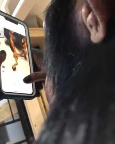 This Ape can use a Smartphone