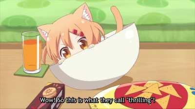 SMOL fluffs like to play in bowls. [Nyanko Days]