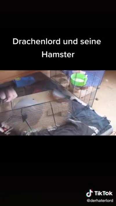 Drachenlord und seine Hamster