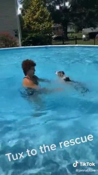 Brave puppy saves mom from drowning