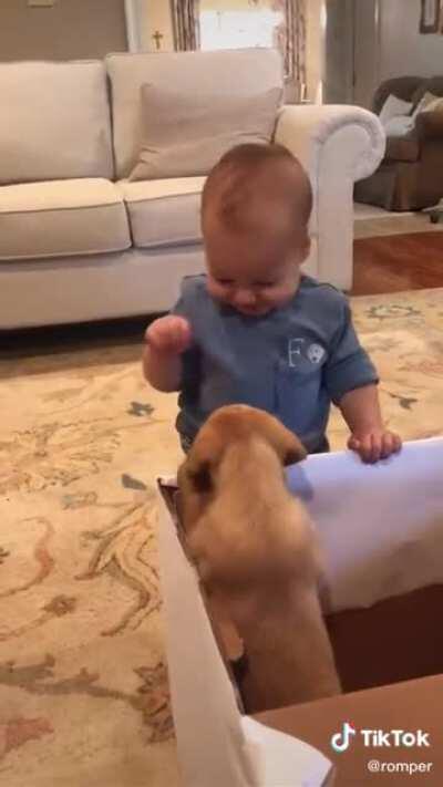 Adorable Baby reacts to first puppy!