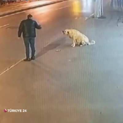 📍 İstanbul'da bir şahıs, sokaktaki köpeğe silah çekti. 