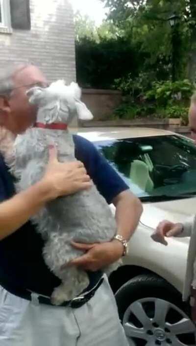 Dog in sheer bliss after seeing the owner for the first time in 2 years · Very very old but pure gold