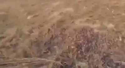 Russian soldiers attempt to shoot down a Ukrainian FPV. Location unknown.