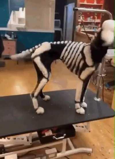 A fantastic Halloween cut