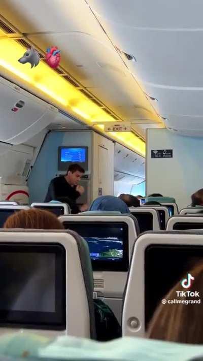 Dumbfuck tries to impress the ladies by shadowboxing inside a plane