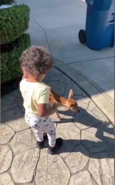 🔥 May this little girl meeting a baby deer make your day!