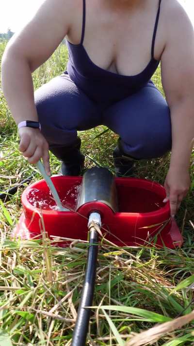 Cleaning my animal waterer 