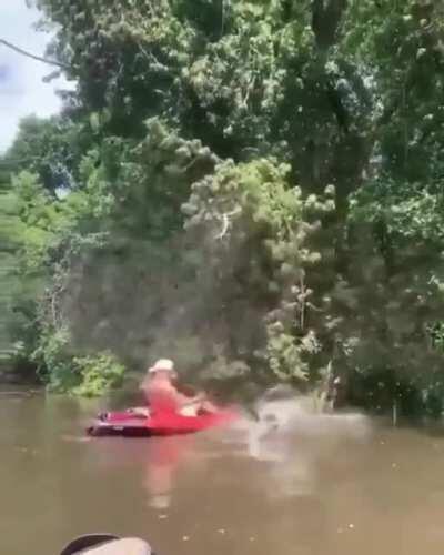 WCGW if I hit a bee hive