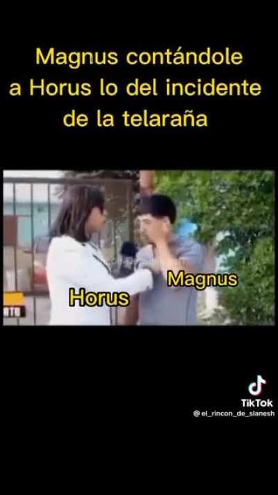 pobre magnus :,(