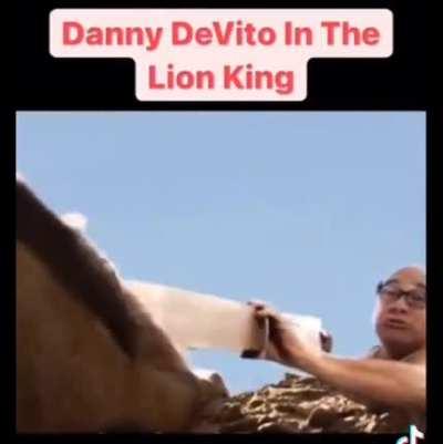 Danny DeVito in the Lion King