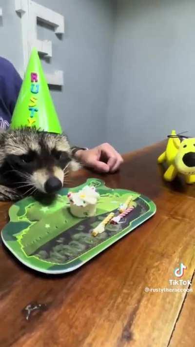 Trashpanda Birthday!