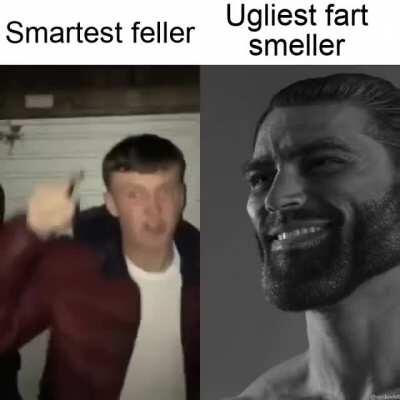 so which one are you ? a smart feller 🤓 or a fart smeller 😈