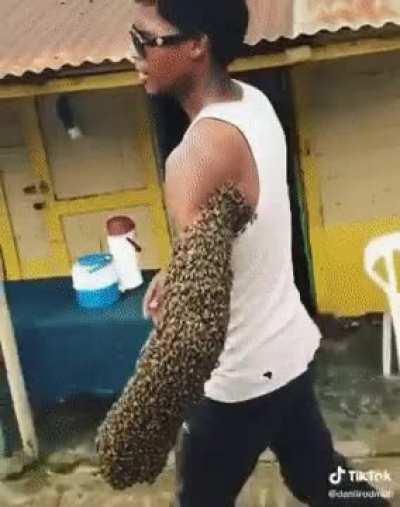 Guy transports a bees colony by carrying the queen is his fist; the rest of the bees crowd around where their queen is.