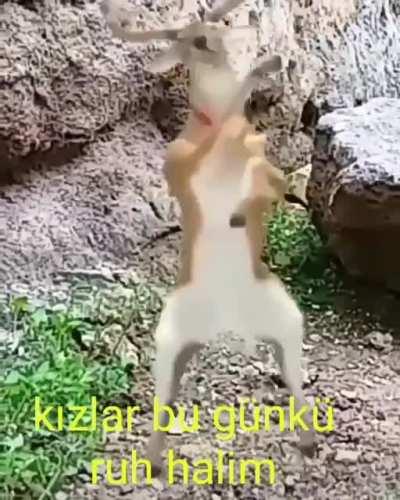 Bir kaç ay önce biyoloji grubuna atmıştık