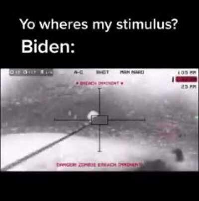 Biden moments