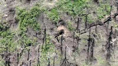 Russian infantry assault repelled by drones of the Svoboda Battalion from the National Guard of Ukraine 