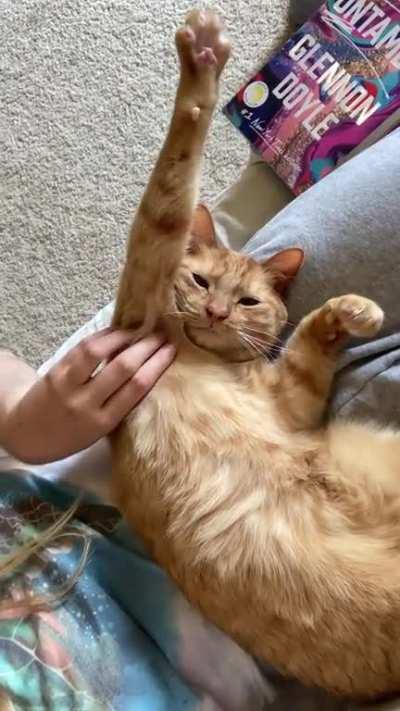 He loves armpit rubs [OC]