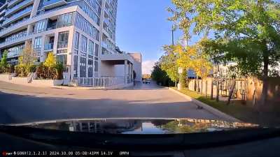 Oblivious Driver Cruises Past Carjacking in Progress – Caught on Dashcam