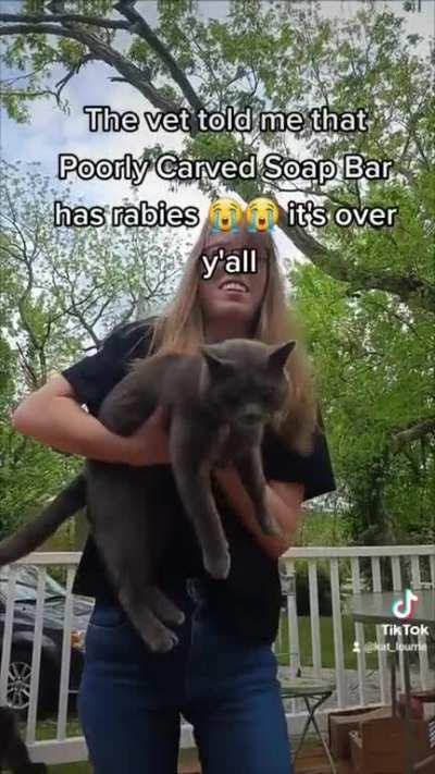 Oh no my cat has rabies 