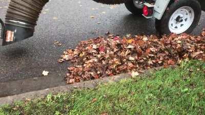 It’s Wednesday! I thought I’d show off the neighborhood leaf cleaning truck!