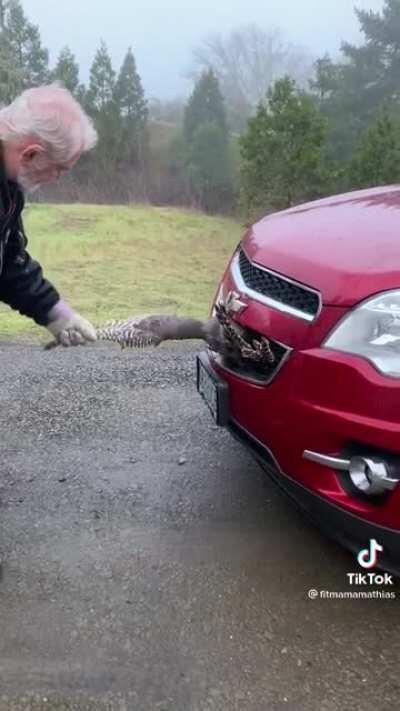 Man saves turkey trapped inside his car