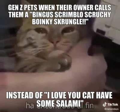 Poor catty