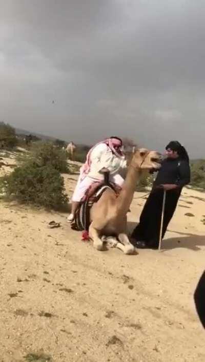 WCGW if a overweight person try to ride a camel