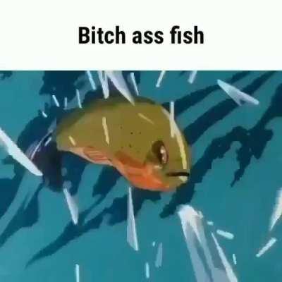 Bitch ass fish