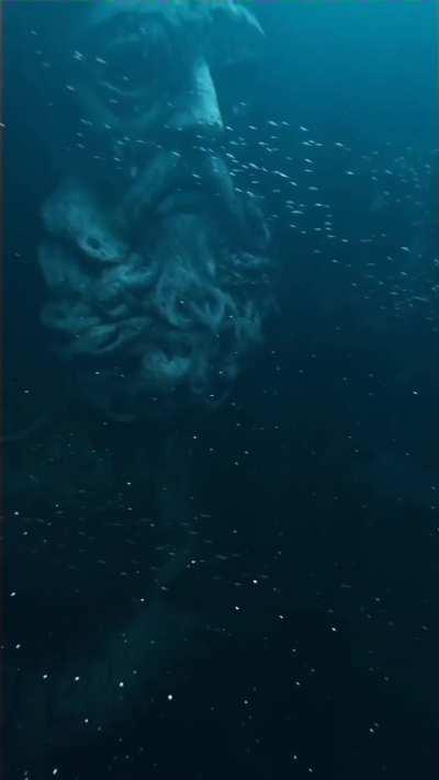 🔥 Keepers of the deep : megalophobia