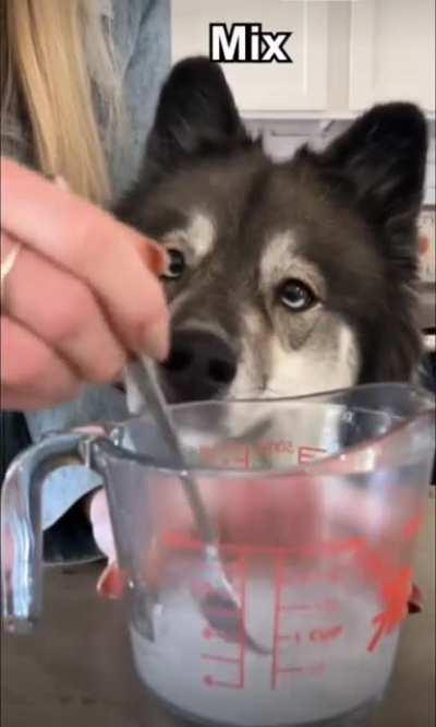 An adorable partnership in baking a delicious doggy pumpkin pie! 🎃🥧