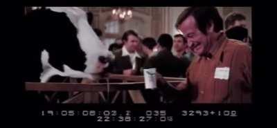 Robin Williams and a Cow