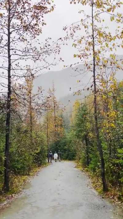 Walking up to Mendenhall Glacier, Juneau Alaska 🍁✨